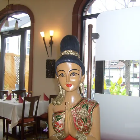 泰塔湾酒店 莱茵豪森